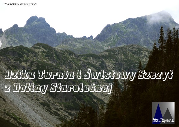 Dzika Turnia i Świstowy Szczyt